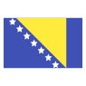 Bosnia and Herzegovina Flag